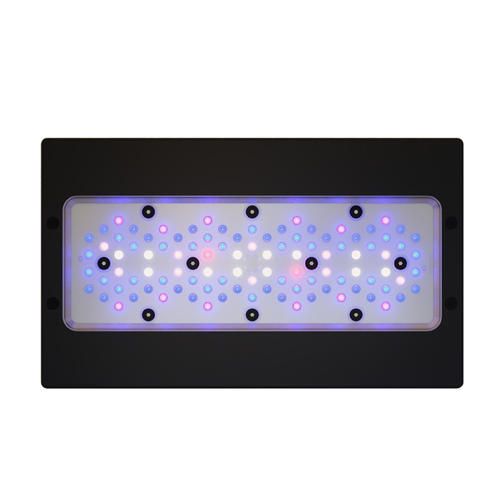 EcoTech Radion XR30 Gen 6 Blue