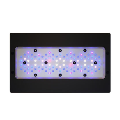 EcoTech Radion XR30 Gen 6 Blue