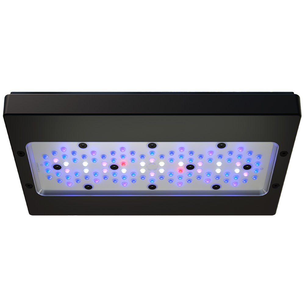 EcoTech Radion XR30 Gen 6 Blue