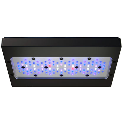 EcoTech Radion XR30 Gen 6 Blue