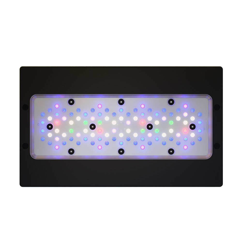 EcoTech Radion XR30 Gen 6 Pro