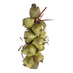 Nino's Java Palm Nuts