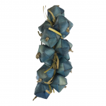 Nino's Java Palm Nuts