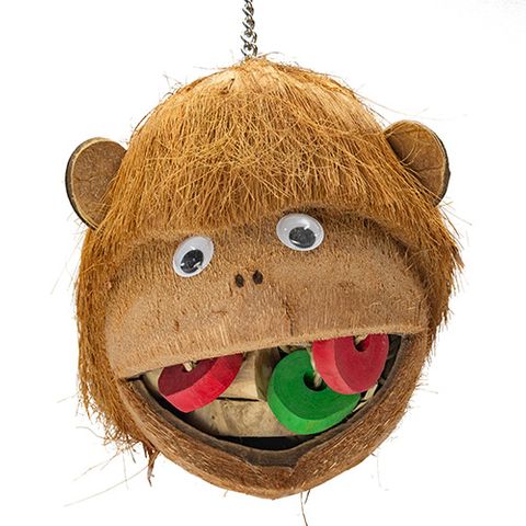 Bainbridge Cheeky Monkey